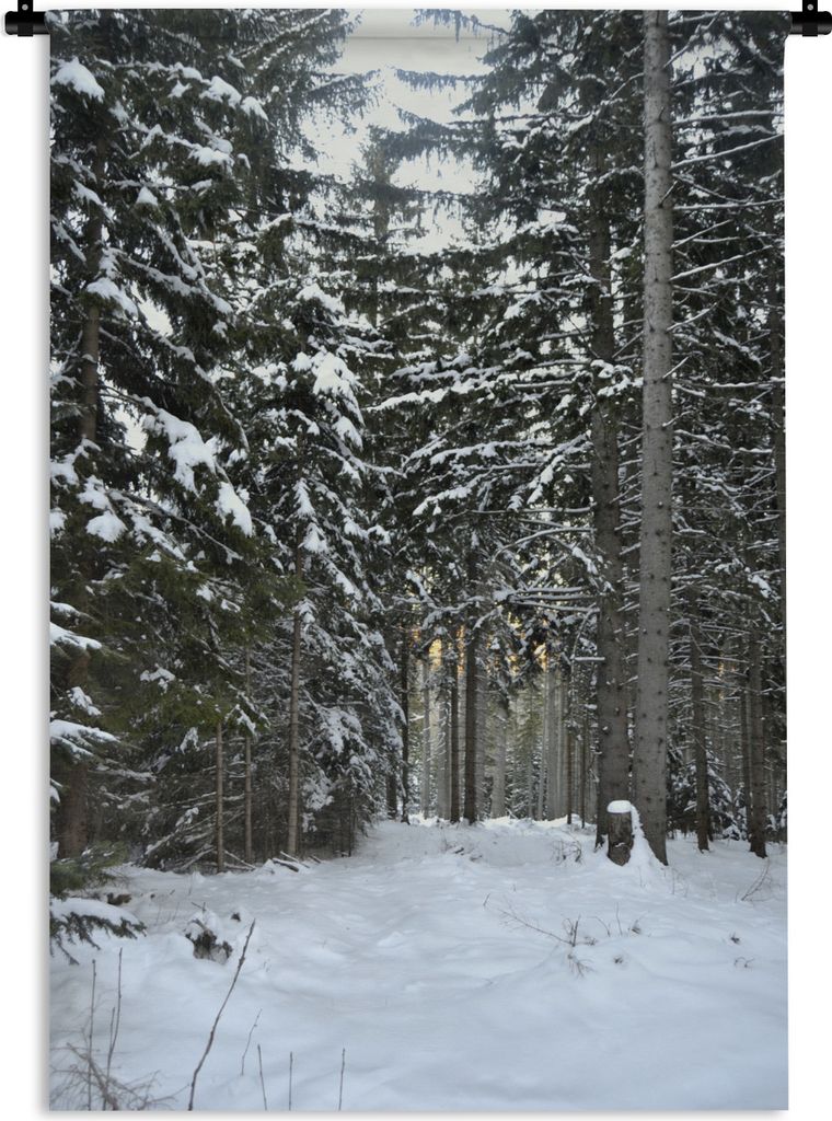 MuchoWow Wandteppich Wandbehang Die Winterbäume im Wald bei Wien in Österreich 60x90 cm Tapisserie Dekoration Wandtuch - Foto-Teppich - Abwaschbar