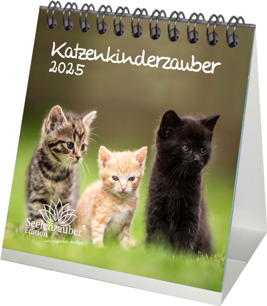 Katzenkinderzauber Kalender für 2025 Format 10cm x 10cm Katzenkinder Katzenbabys - Seelenzauber