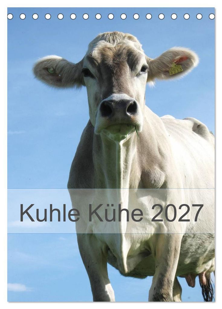 Kuhle Kühe 2027 (Tischkalender 2027 DIN A5 hoch), CALVENDO Monatskalender