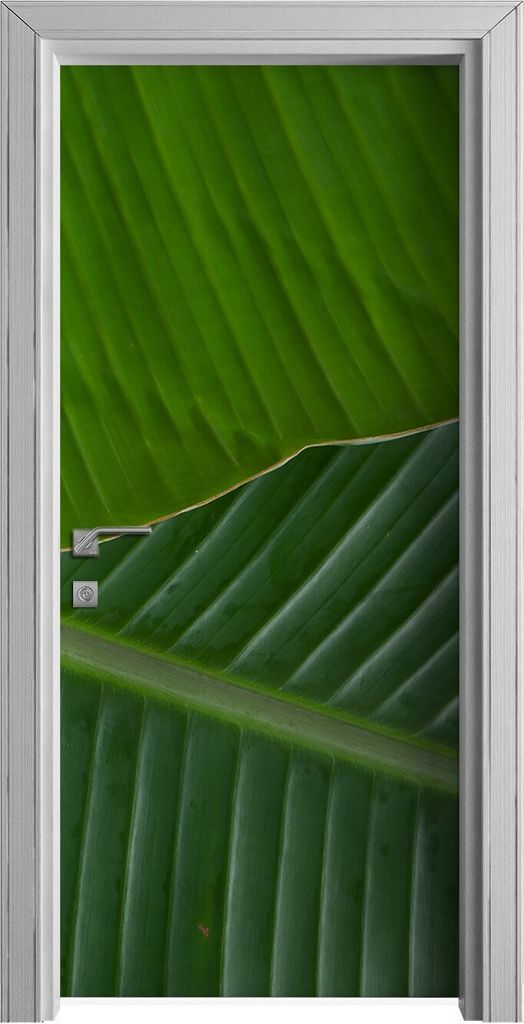 Tür Selbstklebende 90x210 cm Türfolie Türtapete Klebefolie - Banane Blatt