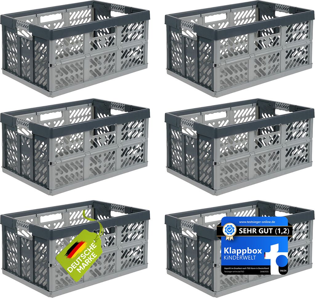 6 x Profi - Klappbox 45 L bis 50 kg silber / grau Faltbox Box Kiste
