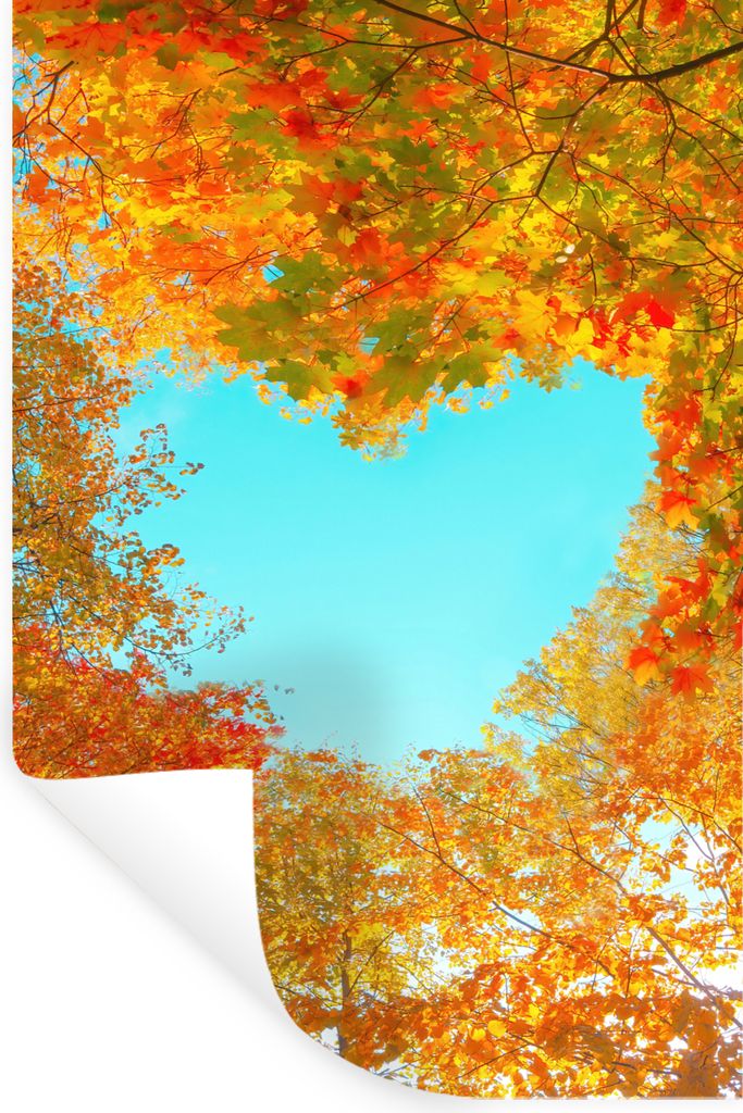 MuchoWow Wandtattoo Wandsticker Wandaufkleber Bäume - Herbst - Herz - Natur - Orange - Herz 60x90 cm Selbstklebend und Repositionierbar - Sticke...