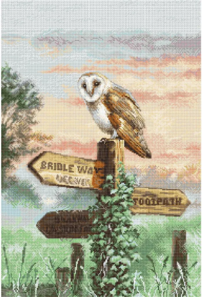 Kit point de croix compté Letistitch Chouette effraie de 45x30cm