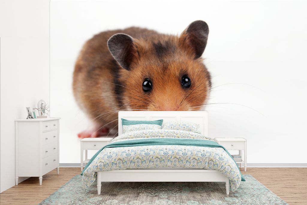 MuchoWow Fototapete für Wohnzimmer oder Schlafzimmer Wandtapete Vinyl Motivtapete Neugieriger Hamster - 385x240 cm - Schlafzimmer-Tapete