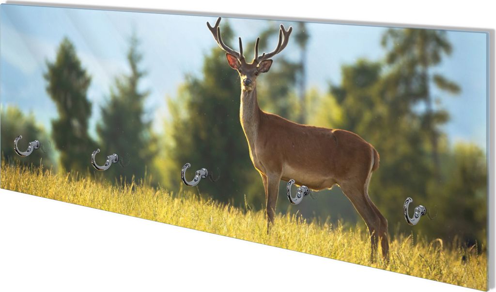 Wallario Flurgarderobe Wandgarderobe aus Glas, mit 5 Haken, Größe 80 x 30 cm, Motiv Junger Hirsch auf einer Wiese