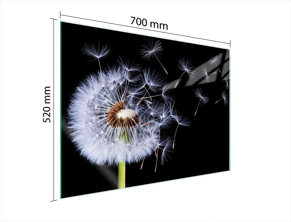 Copri Fornelli Blume Levi 70X52 | Piastra Protezione in Vetro Vera