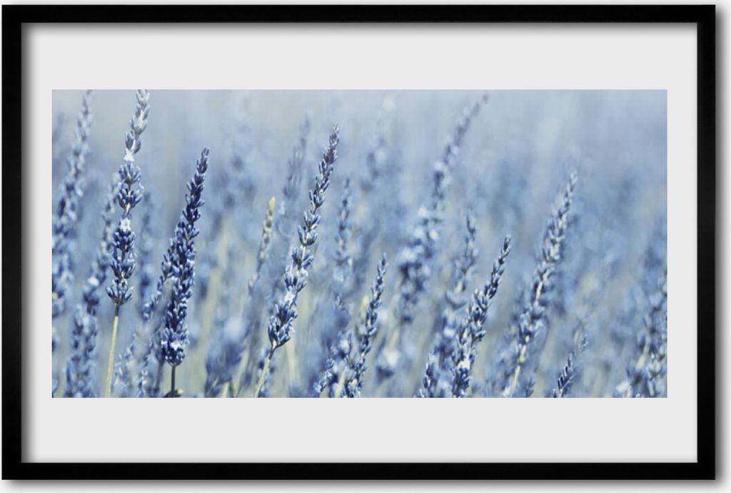 Bild 60x40 MDF-Rahmen Wandkunst Blumen Wiese Natur Ohren