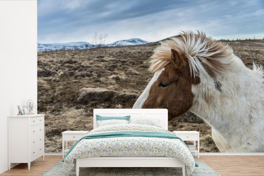 MuchoWow Fototapete für Wohnzimmer oder Schlafzimmer Wandtapete Vinyl Motivtapete Porträt eines braunen und weißen Islandpferdes - 450x300 cm ...