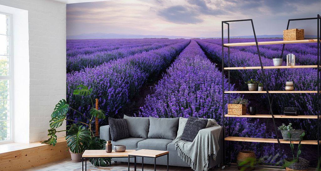 Fototapete Vlies Tapete wunderschönes Lavendelfeld 270 cm (B) x 180 cm (H) Wandbild Wanddeko