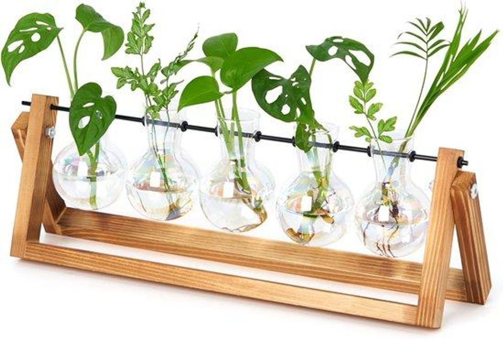 Famanu Pflanzenhalter Vintage mit 5 Gläsern und Holzständer - Terrarium für Hydrokultur