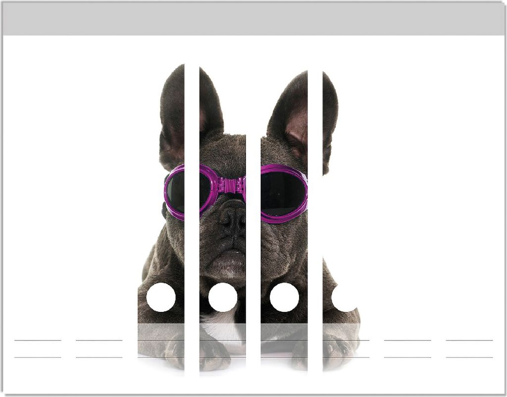 Wallario Ordnerrücken Sticker, selbstklebend für schmale Ordner, 8 Stück, Motiv Cooler Hund mit Sonnenbrille in pink - Französische Bulldogge