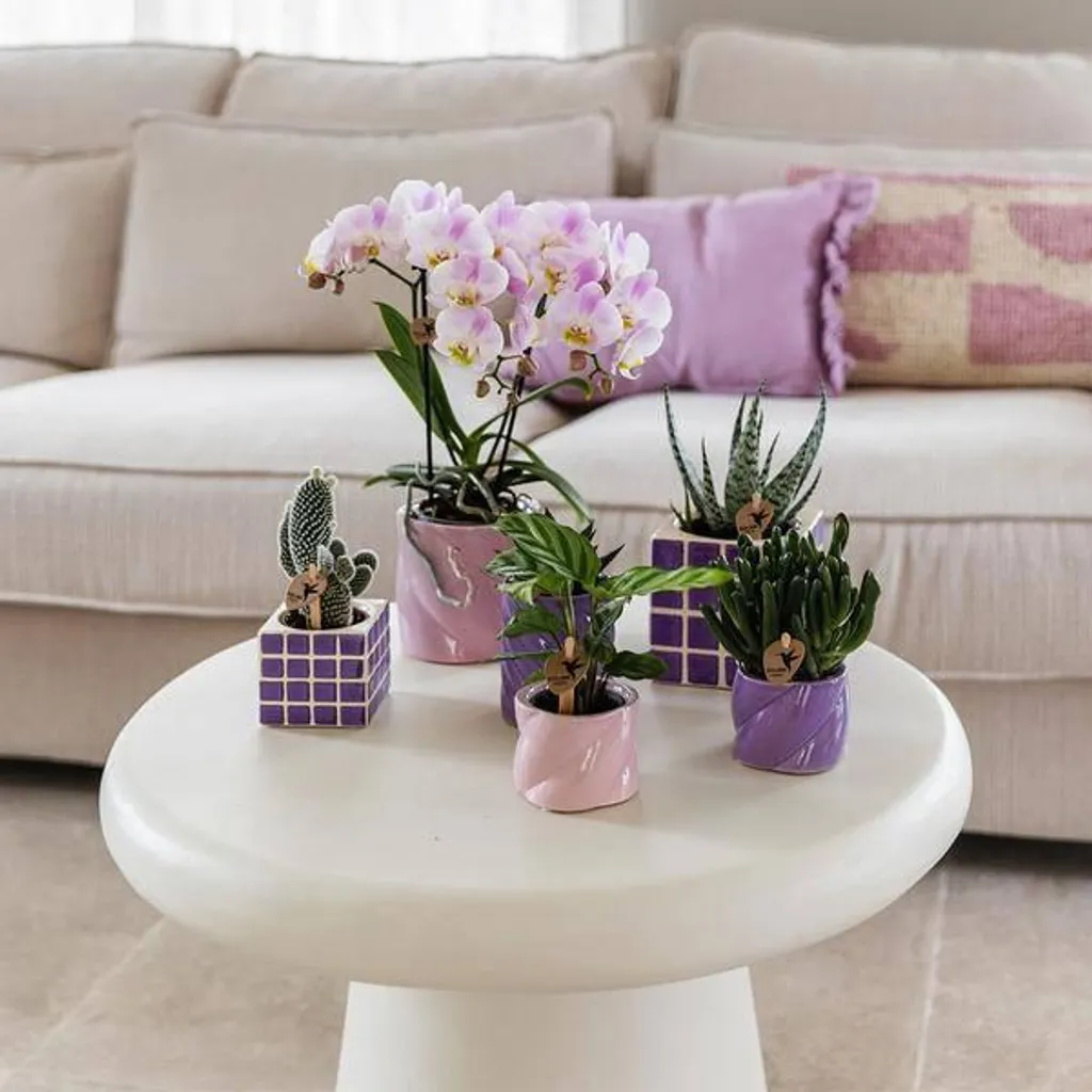 Pot de fleurs rose en céramique brillant Ø 9 cm, cache-pot stable rond