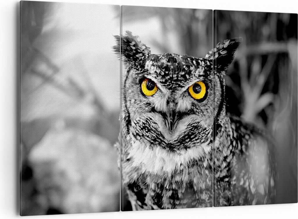 Bild auf Leinwand - Leinwandbild - Eule Vogel Natur - 165x110cm - Wand Bild - Wanddeko - Leinwanddruck - Bilder - Kunstdruck - Wanddekoration - Lei...