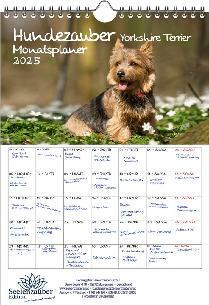Hundezauber Yorkshire Terrier Planer DIN A4 Kalender für 2025 Hunde Welpen - Seelenzauber