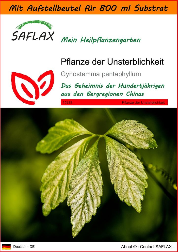 SAFLAX - Garden in the Bag - Heilpflanzen - Pflanze der Unsterblichkeit - 30 Samen - Mit Anzuchtsubstrat im praktischen, selbst aufstellenden Beute...