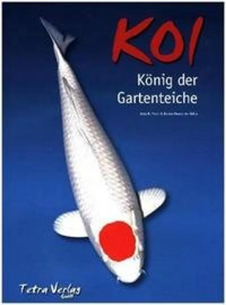 Guide carpe Koï de bassin pour concevoir un paradis aquatique zen