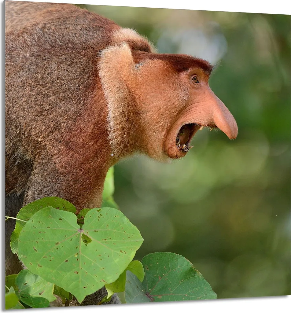 Tagliere Gigante in Vetro 60x65 | Copri Piano Cottura Universale