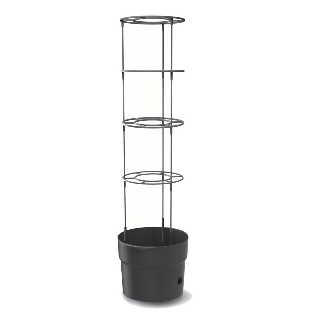 Tomatenpflanze aus Kunststoff Pflanzkübel 18 L, Produktbild 