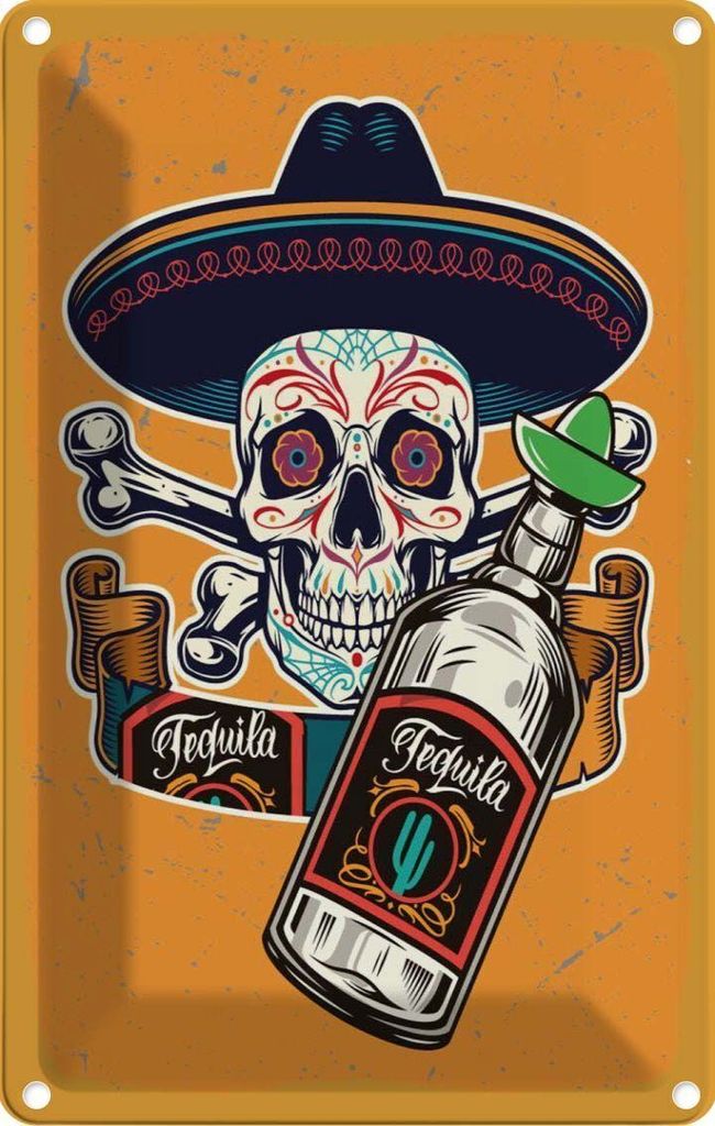 vianmo Blechschild 18x12 cm Totenkopf Tequila Alkohol