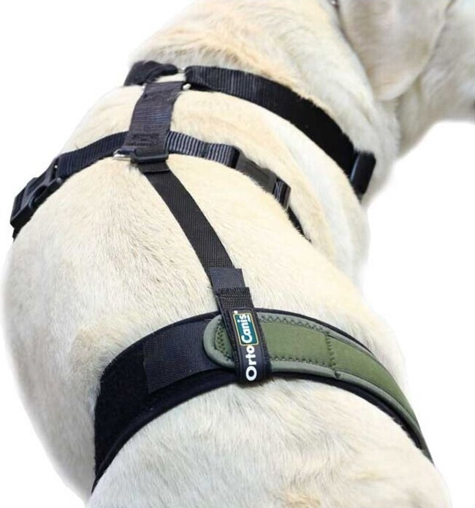 Haltegurt für Kniebandage Gre L (69-96 cm) Haltegurt