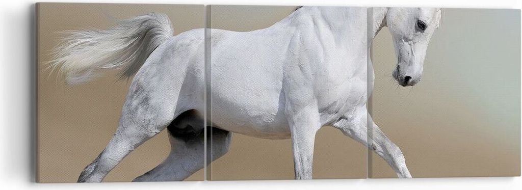 Bild auf Leinwand - Leinwandbild - Pferd weiß Tier - 90x30cm - Wand Bild - Wanddeko - Wandbilder - Leinwanddruck - Bilder - Kunstdruck - Wanddekor...