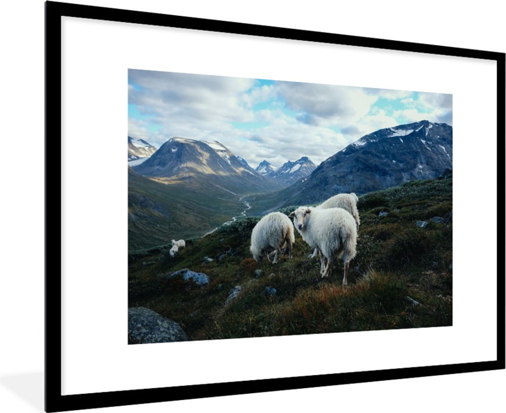 MuchoWow Gerahmtes Poster Schafe - Natur - Berge 90x60 cm - Poster mit Schwarzem Bilderrahmen Wandposter Rahmen Foto Bilder - Wanddekoration - Fotos