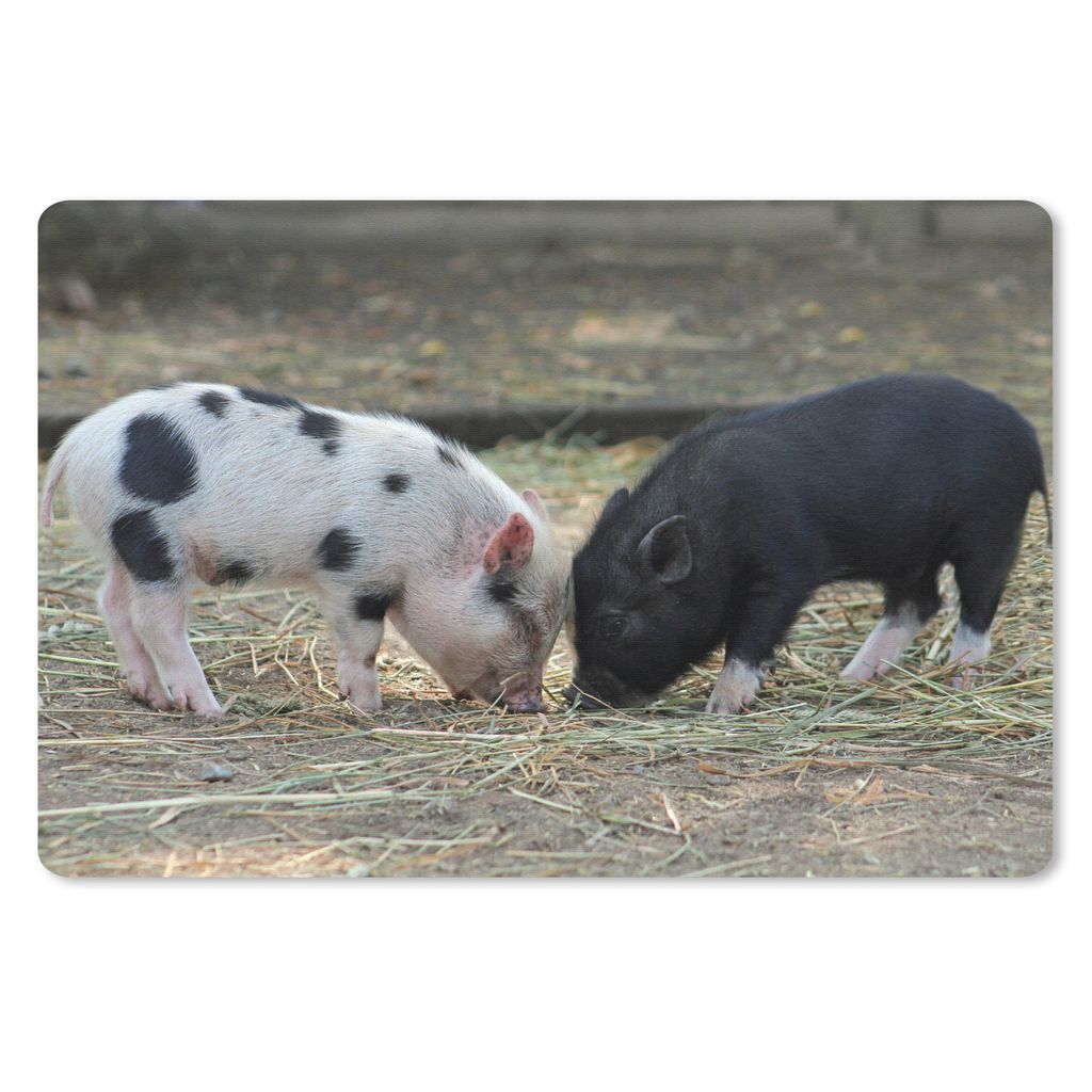 MuchoWow Schreibtischunterlage Schweine - Ferkel - Stroh 60x40 cm - XXL Mauspad - Großes Mauspad