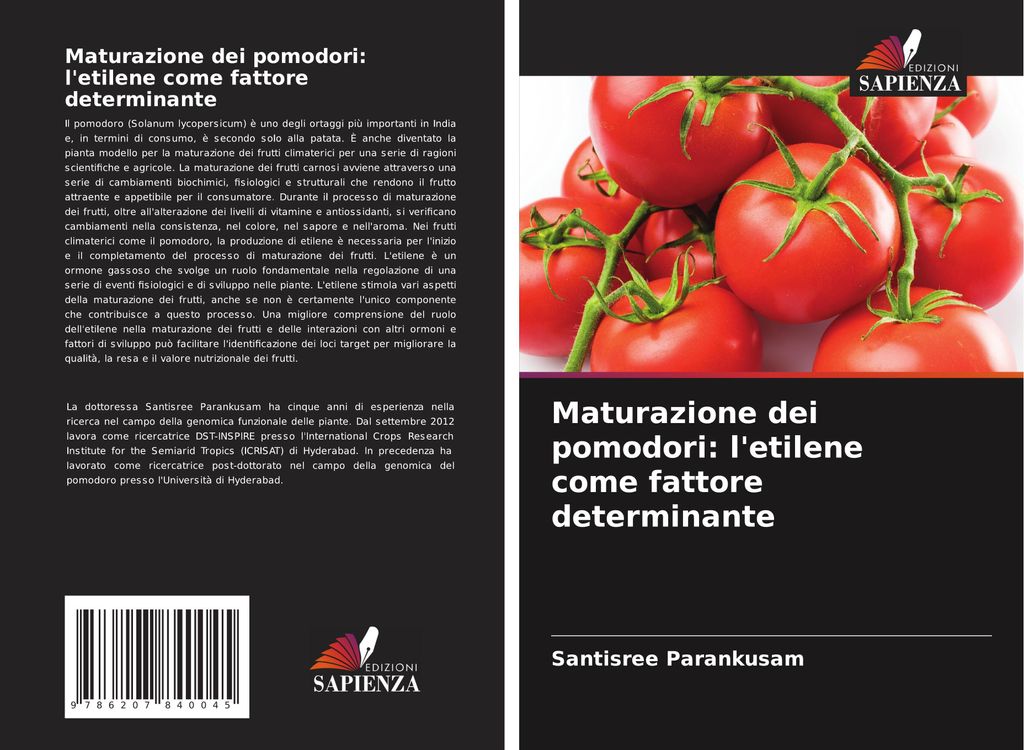Maturazione dei pomodori: l'etilene come fattore determinante