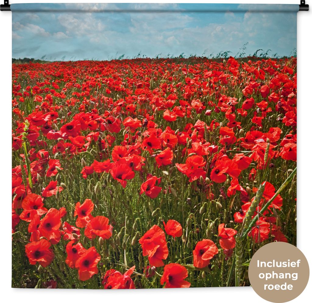 MuchoWow Wandteppich Wandbehang Eine Wiese voller Mohnblumen 90x90 cm Tapisserie Dekoration Wandtuch - Wandaufhänger