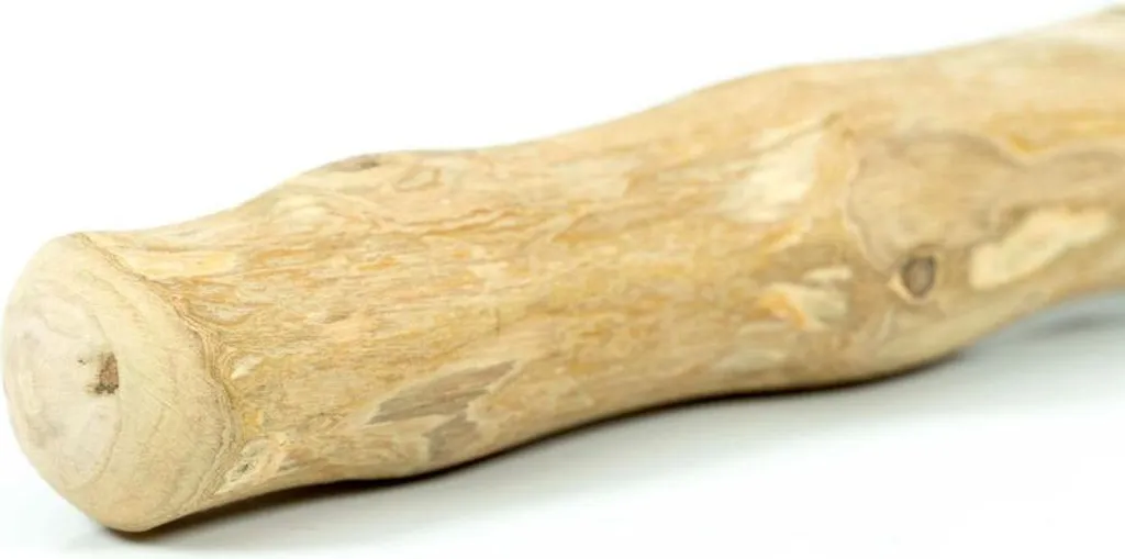 Giocattolo per cani Gloria S - Divertimento Sicuro per Taglie Piccole