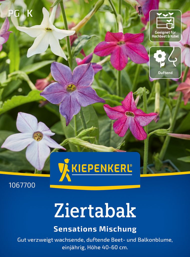 Kiepenkerl Ziertabaksamen Sensations 150 Pflanzen