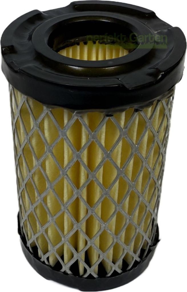Filtro aria per Tecumseh OVRM 40 60 105 TC 200 300 Prisma Immagine del prodotto 