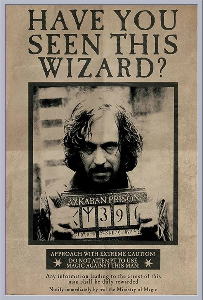 Décoration Murale Harry Potter Sirius Black Wanted avec Cadre Argent