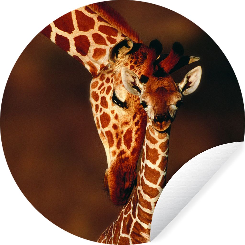 MuchoWow Runde Wandtattoo - Wandsticker Tapete Aufkleber Giraffe - Kalb - Porträt Ø 50 cm Selbstklebend und Repositionierbar - Wandaufkleber - ...