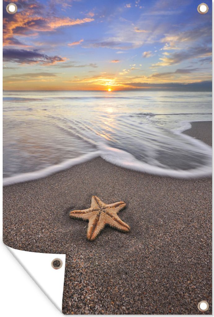 MuchoWow 80x120 cm Outdoor-Poster Gartendeko Sichtschutz Garten Poster für den Garten Seestern - Wasser - Sonne