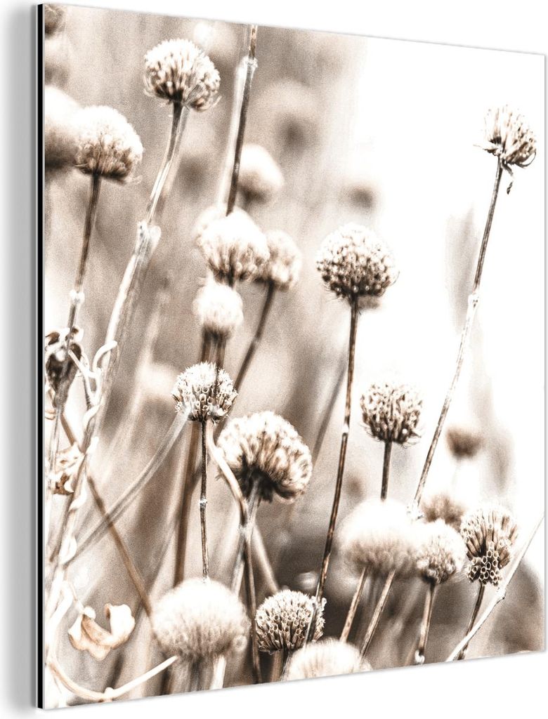 MuchoWow Wanddekoration Metall Metallbild Wandkunst 20x20 cm Blumen - Pflanzen - Stillleben - Natur MuchoWow Aluminium Gemälde - Alu Dibond Bilder