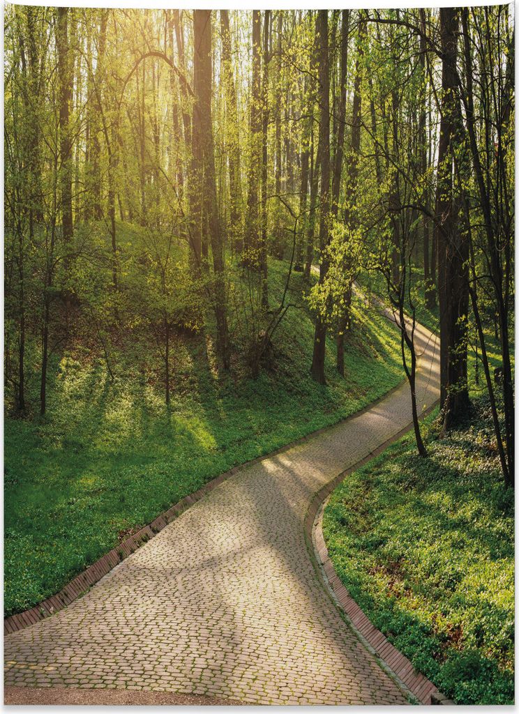 Abakuhaus Draussen Wandteppich, Fußweg Green Park aus Weiches Mikrofaser Stoff Kein Verblassen Klare Farben Waschbar, 110 x 150 cm, Gelb Beige Grün