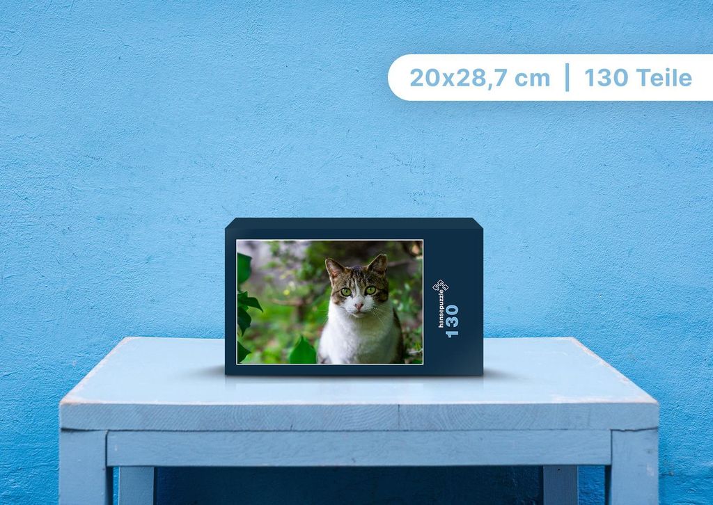 hansepuzzle 101850 - Katze Puzzle, 130 Teile, Tierwelt, 28,7 x 20,0cm mit hochwertiger Aufbewahrung, Kartonbox und wiederverschließbarem Beutel