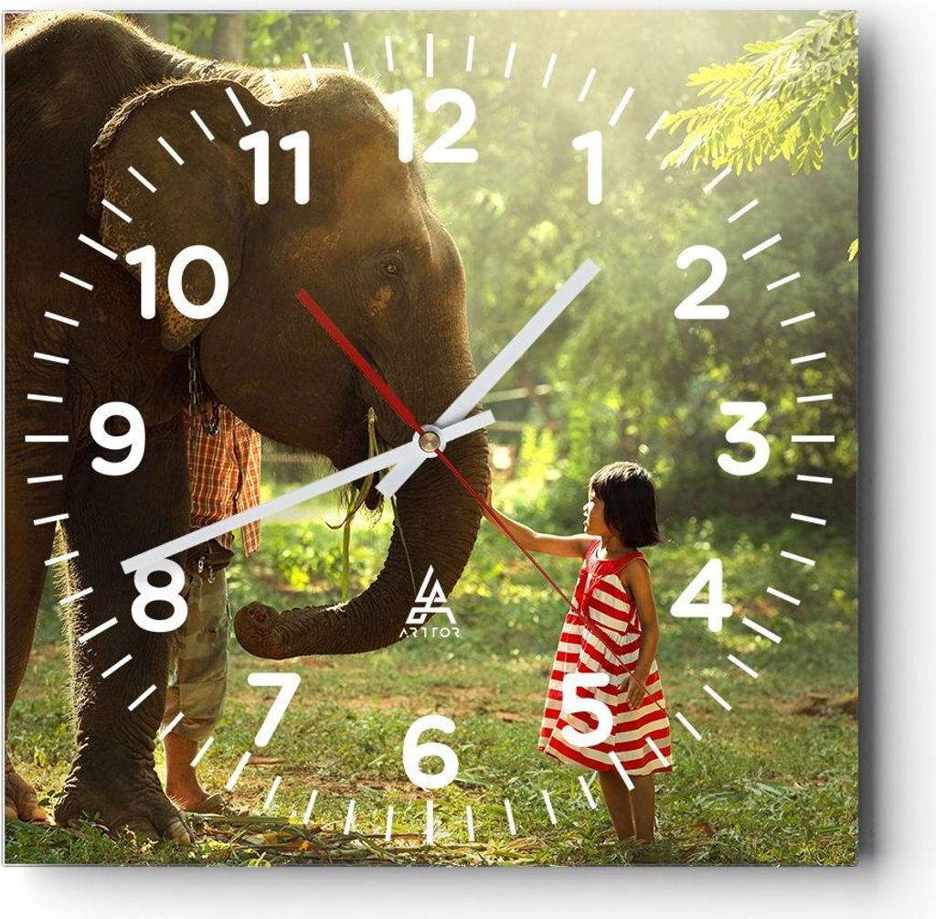 Wanduhr - Quadrat - Glasuhr - Elefant Tier - 40x40cm - Schleichendes Uhrwerk - Lautlos - zum Aufhängen bereit - Dekoration Modern - Wanddekoration...