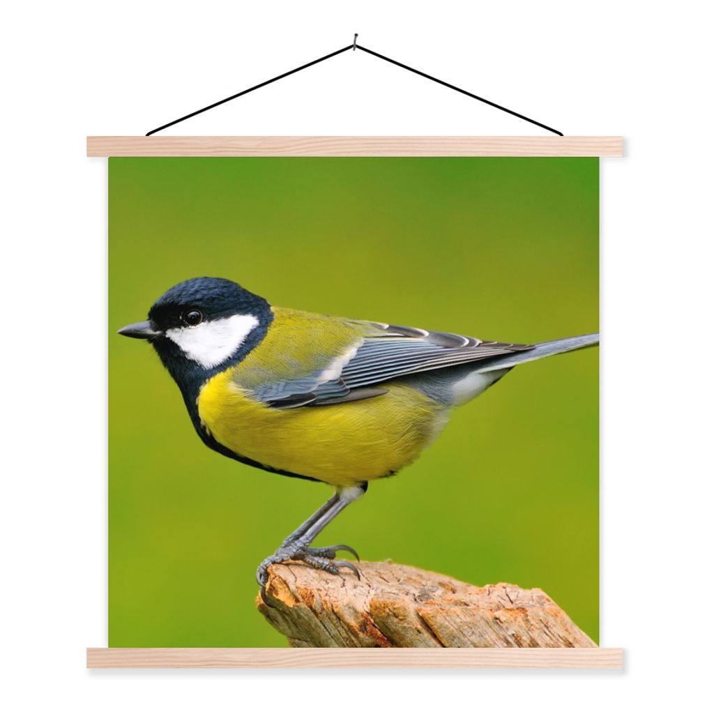 MuchoWow Textilposter Vogel - Kohlmeise - Tiere - Grün 120x120 cm mit holzfarbenen Rahmen - Textil-Poster