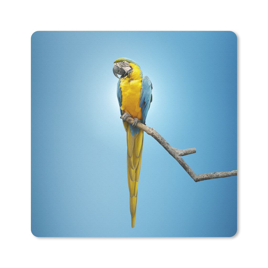 MuchoWow Mauspad Mousepad Papagei - Zweig - Blau 20x20 cm - Mousepads - Maus Mat - Pad - Mausunterlage - Desk Mat - Bureauartikeln