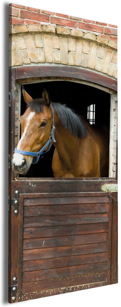 Wallario Premium Leinwandbild Pferd im Stall in Größe 30 x 75 cm
