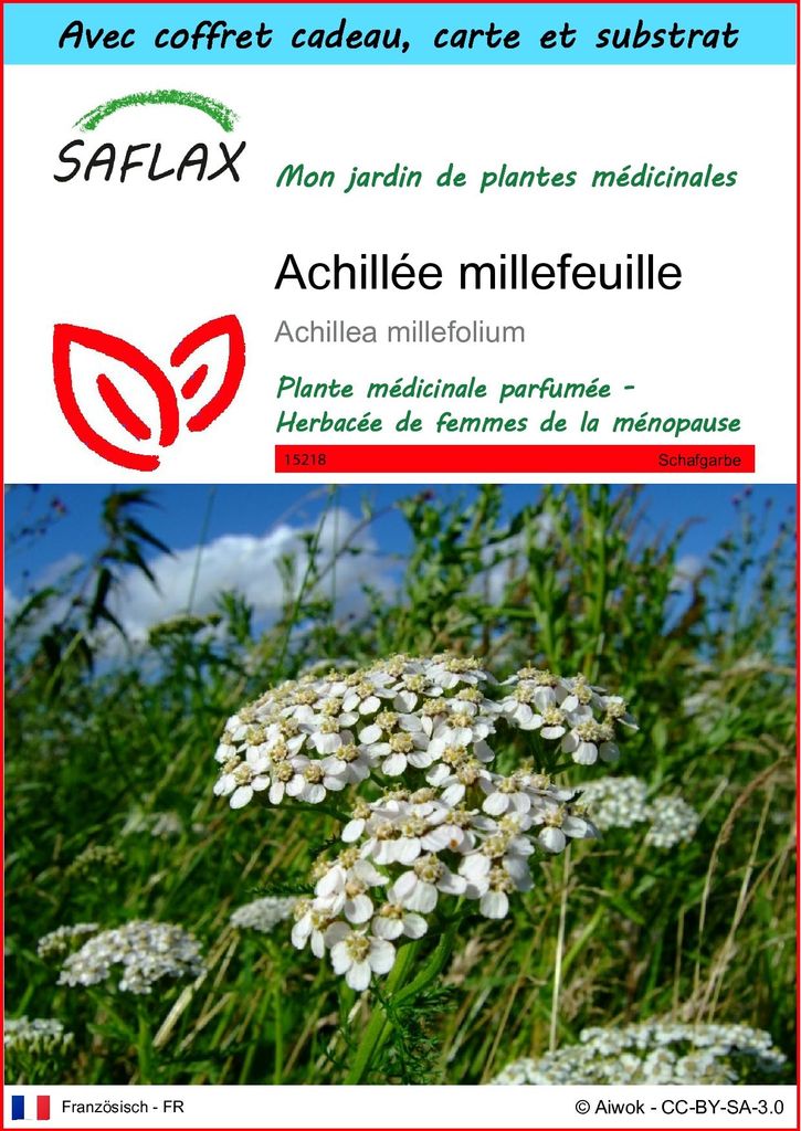 SAFLAX Ensemble-cadeau - Achillée millefeuille - 200 Image du produit 