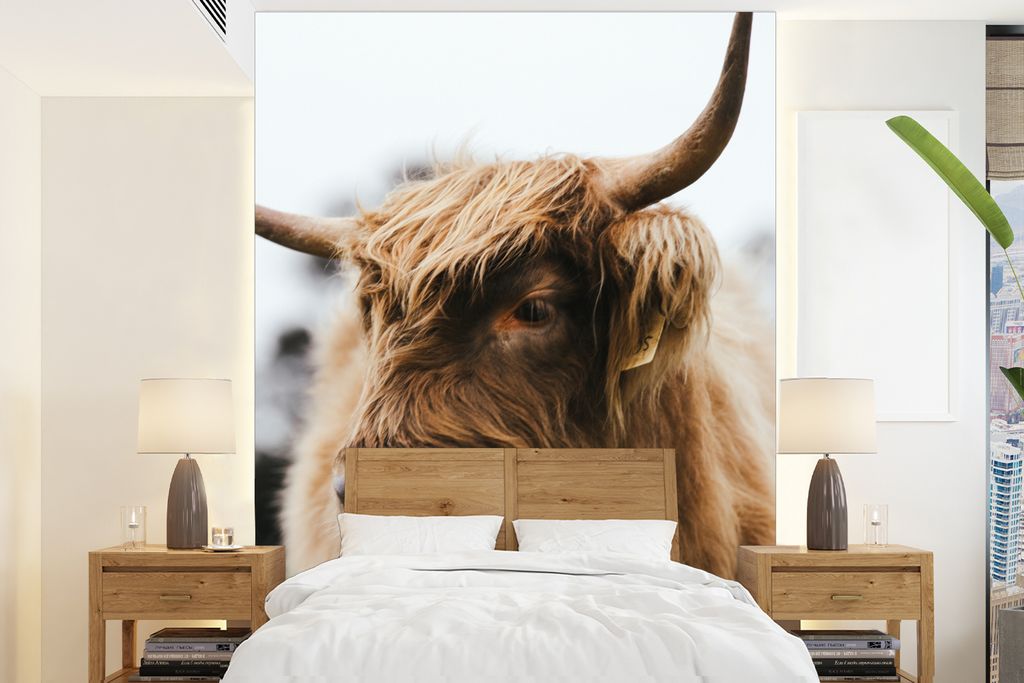MuchoWow Fototapete für Wohnzimmer oder Schlafzimmer Wandtapete Vinyl Motivtapete Schottischer Highlander - Tiere - Hörner - 160x220 cm - Bilds...