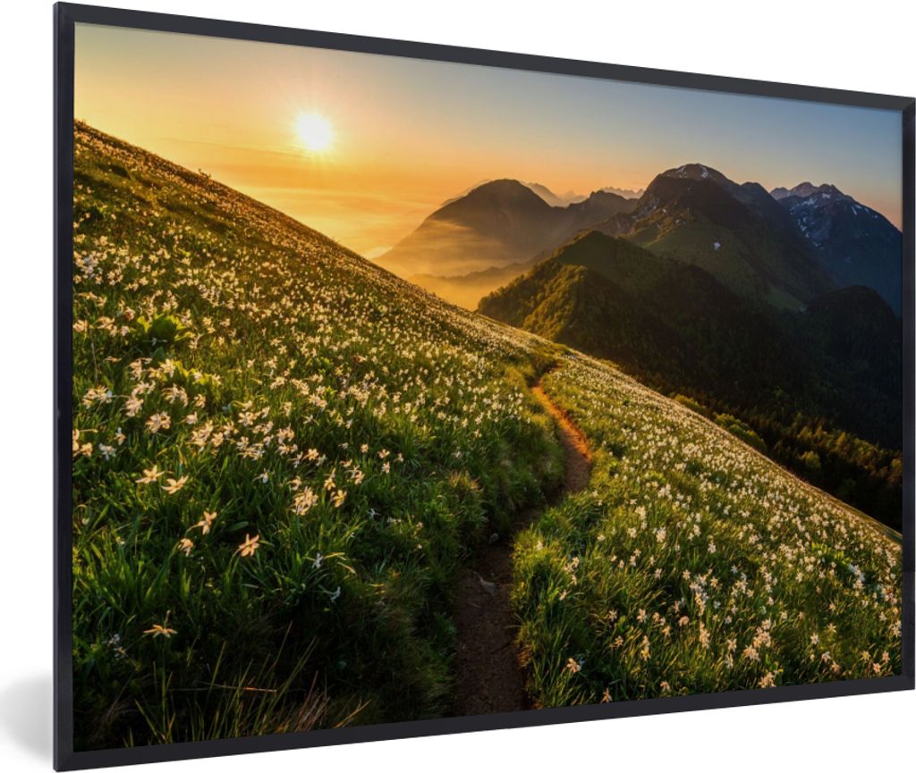 MuchoWow Gerahmtes Poster Blumen - Sonne - Berge 60x40 cm - Poster mit Schwarzem Bilderrahmen Wandposter Rahmen Foto Bilder - Printing - Wanddeko...