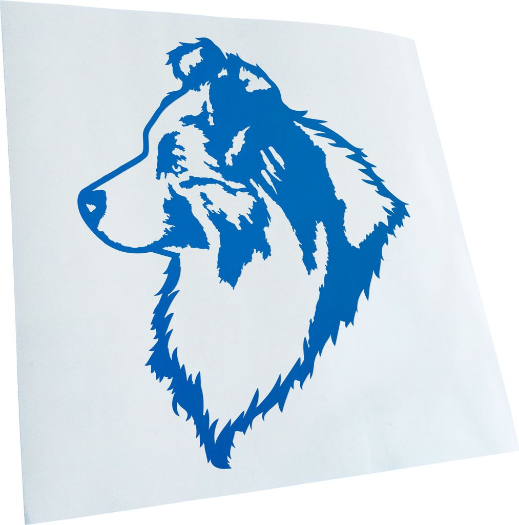Kiwistar - Autoaufkleber - Australian Shepherd Blue Merle - Blau - 40x33cm - Aufkleber für Auto, Laptop, Fahrrad, LKW, Motorrad mehrfarbig JDM Dec...