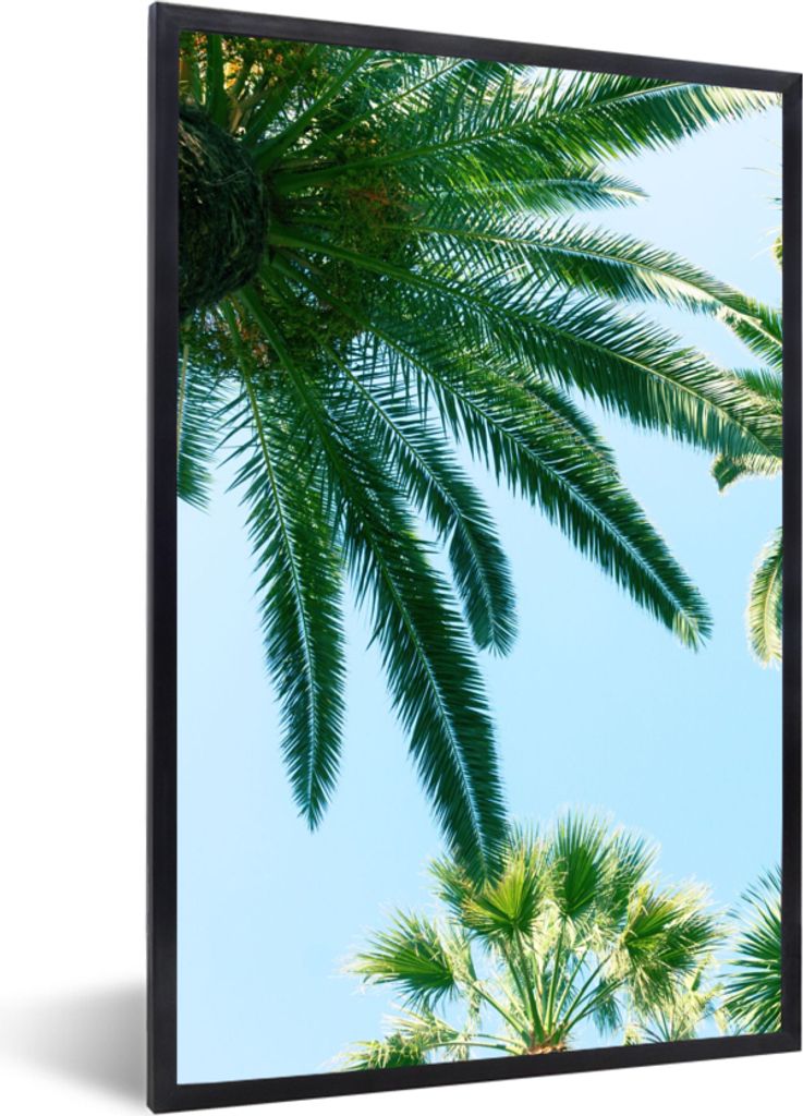 MuchoWow Gerahmtes Poster Palmwedel - Himmel - Sommer - Tropisch 40x60 cm - Poster mit Schwarzem Bilderrahmen Wandposter Rahmen Foto Bilder - Pap...
