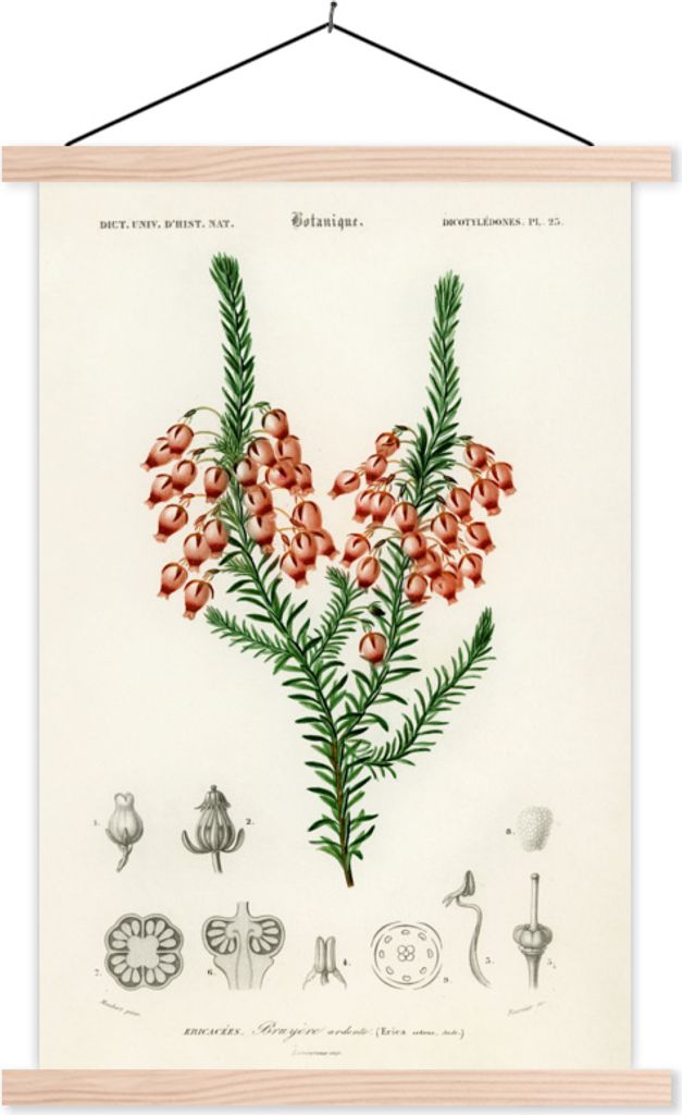 MuchoWow Textilposter Pflanze - Blume - Botanik 120x180 cm mit holzfarbenen Rahmen - Textil-Plakat