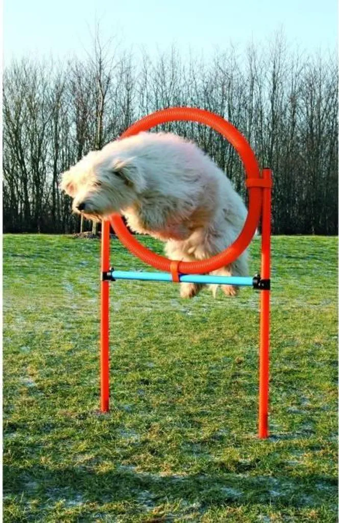 Pneumatico Agility Trixie per Cani - Salto a Cerchio Fitness Dog