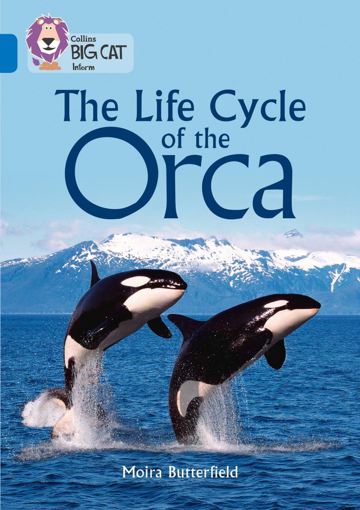 Collins Big Cat The Life Cycle Of The Or – Lingua: Inglese